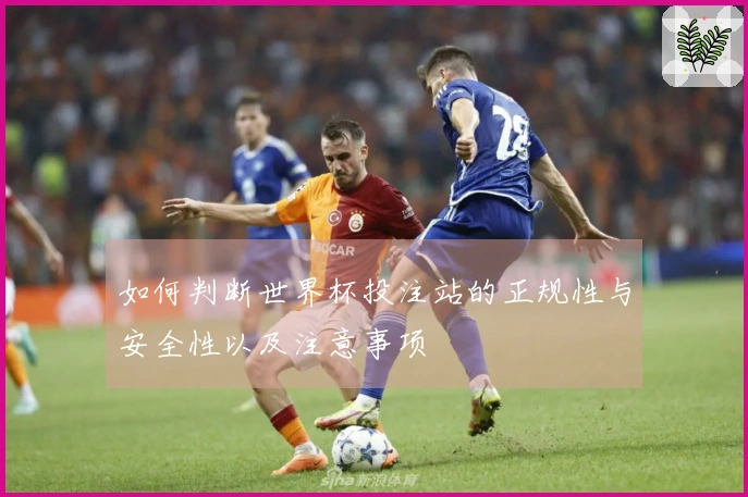 如何判断世界杯投注站的正规性与安全性以及注意事项